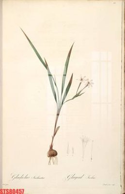 File gốc Tranh sơn dầu phương tây tổng hợp STS80457 (PSD/TIFF) độ phân giải cao