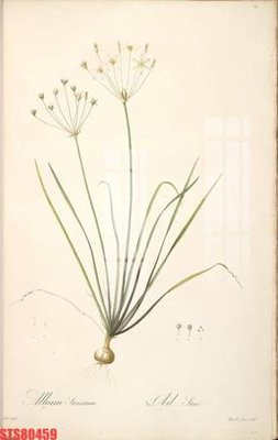 File PSD Tranh sơn dầu phương tây tổng hợp STS80459 (bản gốc) độ phân giải cao