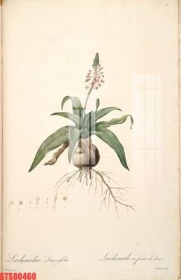 File gốc Tranh sơn dầu phương tây tổng hợp STS80460 (ảnh chi tiết) để in ấn