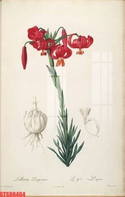 File tranh Tranh sơn dầu phương tây tổng hợp STS80464 (gốc) chủ đề trẻ em