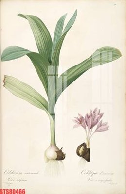 File gốc Tranh sơn dầu phương tây tổng hợp STS80466 (phong cách) cổ điển