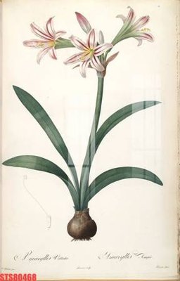 Download file gốc Tranh sơn dầu phương tây tổng hợp STS80468 (in mica) trang trí