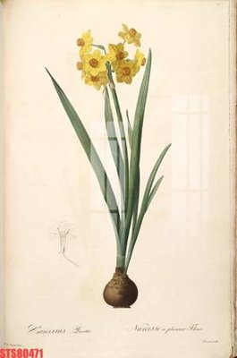 Tải file tranh Tranh sơn dầu phương tây tổng hợp STS80471 (gốc) tại Filetranh.com