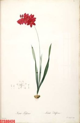 File tranh Tranh sơn dầu phương tây tổng hợp STS80474 (bản gốc) in lụa 5D