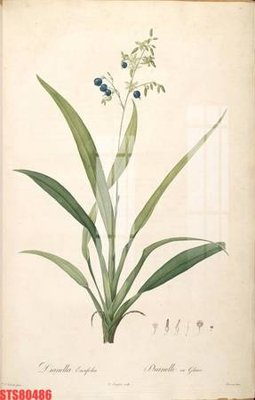 File gốc Tranh sơn dầu phương tây tổng hợp STS80486 (cho in ấn) từ Filetranh.com