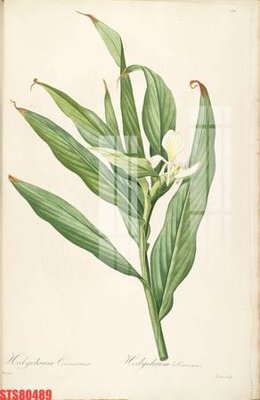 Tải file Tranh sơn dầu phương tây tổng hợp STS80489 (gốc) in trên mọi chất liệu