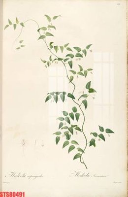 File tranh Tranh sơn dầu phương tây tổng hợp STS80491 (bản gốc) in lụa 5D