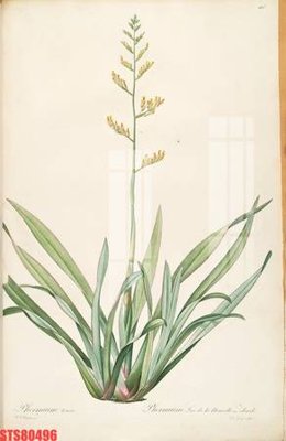 File gốc Tranh sơn dầu phương tây tổng hợp STS80496 (AI/EPS) cho in ấn