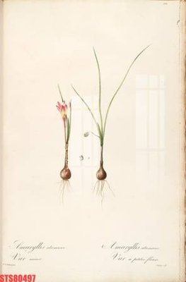 File gốc Tranh sơn dầu phương tây tổng hợp STS80497 (cho in UV) siêu nét