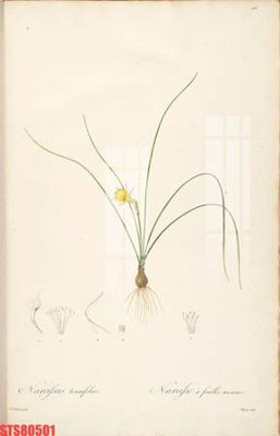 Tải file Tranh sơn dầu phương tây tổng hợp STS80501 (gốc) làm file quảng cáo