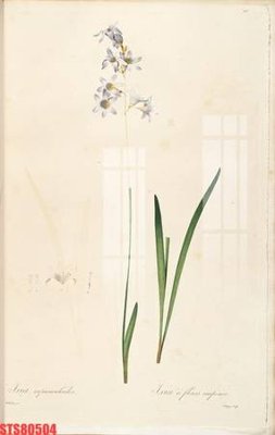 File gốc Tranh sơn dầu phương tây tổng hợp STS80504 (PNG) nền trong suốt