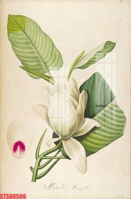 File tranh Tranh sơn dầu phương tây tổng hợp STS80506 (file gốc) chủ đề phong thủy