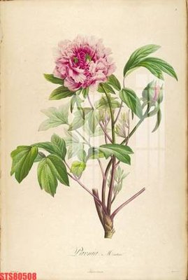 Tải file gốc Tranh sơn dầu phương tây tổng hợp STS80508 (in tráng gương) siêu đẹpFile tranh gốc Tranh sơn dầu phương tây tổng hợp STS80508 chất lượng cao