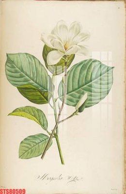 File in mica Tranh sơn dầu phương tây tổng hợp STS80509 (bản gốc) làm vách ngăn