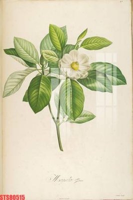 File tranh trang trí Tranh sơn dầu phương tây tổng hợp STS80515 (file gốc)