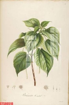 Tải file gốc Tranh sơn dầu phương tây tổng hợp STS80518 (in khổ lớn) quảng cáo