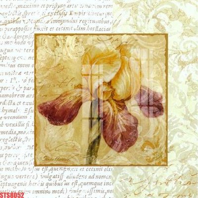 File tranh Tranh sơn dầu phương tây tổng hợp STS8052 (gốc) phong cách tối giản