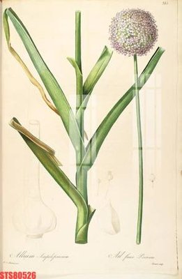 File tranh Tranh sơn dầu phương tây tổng hợp STS80526 (bản gốc) treo quán cafe