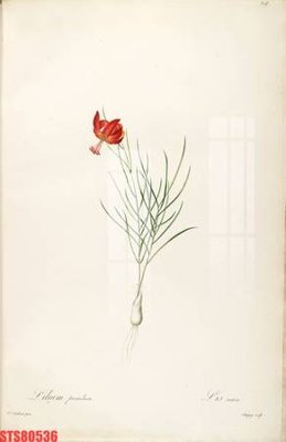 Tải file Tranh sơn dầu phương tây tổng hợp STS80536 (PSD) cho in ấn quảng cáo