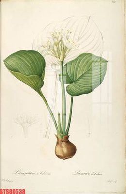 File gốc Tranh sơn dầu phương tây tổng hợp STS80538 (ảnh chi tiết) để in trần