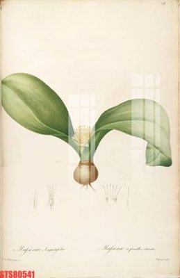 File gốc in ấn Tranh sơn dầu phương tây tổng hợp STS80541 (sẵn sàng tải về)