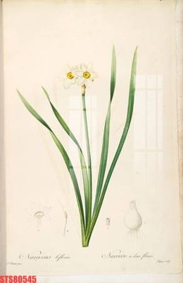 File gốc Tranh sơn dầu phương tây tổng hợp STS80545 (trang trí) phòng làm việc