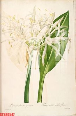 Cung cấp file tranh gốc Tranh sơn dầu phương tây tổng hợp STS80547 độc quyền