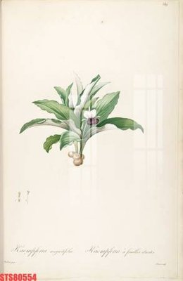 File tranh trang trí Tranh sơn dầu phương tây tổng hợp STS80554 (file gốc)