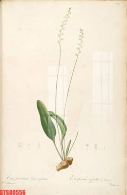 Download file gốc Tranh sơn dầu phương tây tổng hợp STS80556 (in mica) trang trí