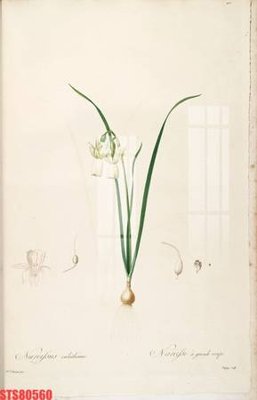 Tải file Tranh sơn dầu phương tây tổng hợp STS80560 (ảnh gốc) file AI/EPS