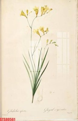 Tải về file tranh gốc Tranh sơn dầu phương tây tổng hợp STS80561 (để in quảng cáo)