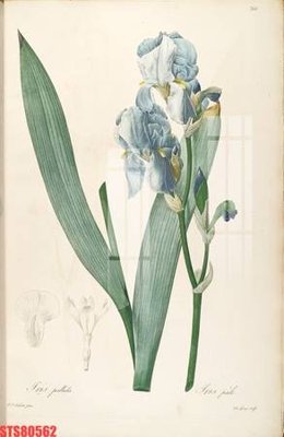 File in lụa Tranh sơn dầu phương tây tổng hợp STS80562 (tân cổ điển) Tranh sơn dầu phương tây tổng hợp STS80562