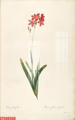 File tranh trang trí Tranh sơn dầu phương tây tổng hợp STS80566 (tải file gốc)