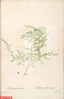 File gốc Tranh sơn dầu phương tây tổng hợp STS80573 (cho in UV) siêu nét