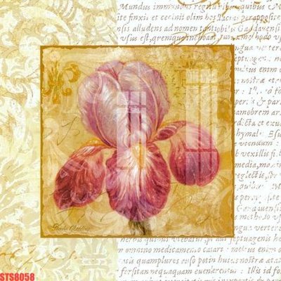 Tải file Tranh sơn dầu phương tây tổng hợp STS8058 (PSD) cho in tranh kính