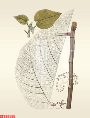 File gốc Tranh sơn dầu phương tây tổng hợp STS80586 (thiết kế) cho in ấn