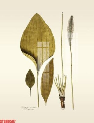 File tranh Tranh sơn dầu phương tây tổng hợp STS80587 (gốc) chủ đề trừu tượng