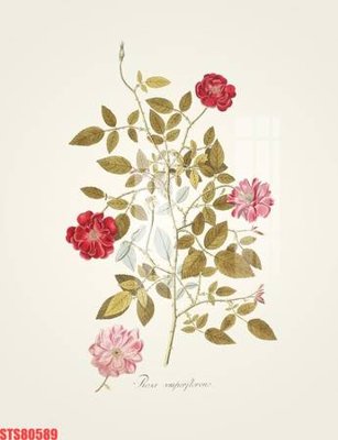 Tải file Tranh sơn dầu phương tây tổng hợp STS80589 (gốc) in nhanh