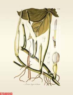 File gốc Tranh sơn dầu phương tây tổng hợp STS80593 (dành cho trang trí nội thất)