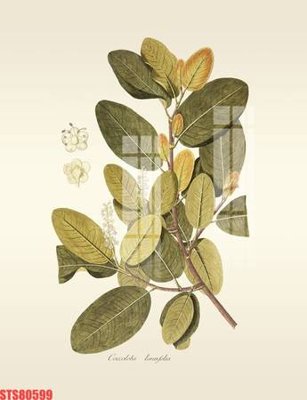 Chi tiết file ảnh Tranh sơn dầu phương tây tổng hợp STS80599 sắc nét