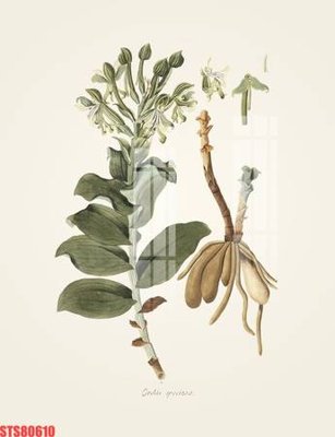 File gốc Tranh sơn dầu phương tây tổng hợp STS80610 (dành cho trang trí nội thất)