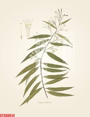 File PSD Tranh sơn dầu phương tây tổng hợp STS80614 (bản gốc) độ phân giải cao