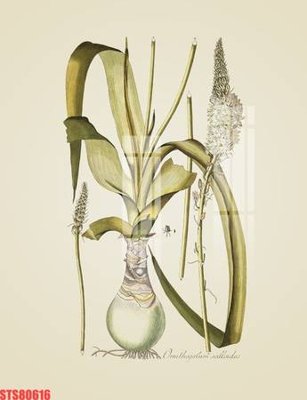 Tải file Tranh sơn dầu phương tây tổng hợp STS80616 (ảnh gốc) in tranh kính