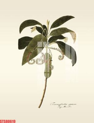 File ảnh Tranh sơn dầu phương tây tổng hợp STS80619 (gốc) in quảng cáo ngoài trời