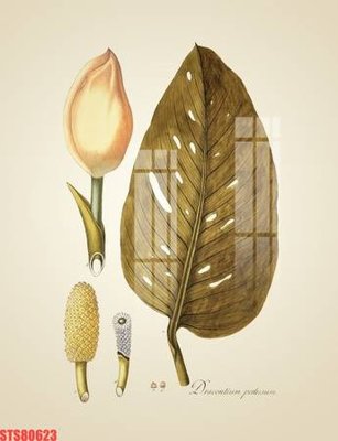 Tải file gốc Tranh sơn dầu phương tây tổng hợp STS80623 dùng cho in ấn