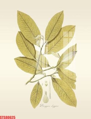 File ảnh Tranh sơn dầu phương tây tổng hợp STS80625 (gốc) in poster