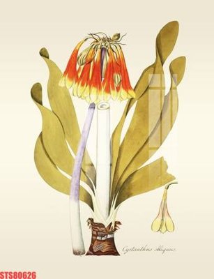 File gốc Tranh sơn dầu phương tây tổng hợp STS80626 (trang trí) phòng làm việc