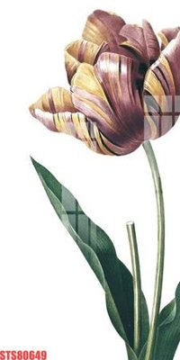 Tải file Tranh sơn dầu phương tây tổng hợp STS80649 (gốc) in ấn ngay lập tức