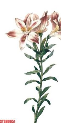 File tranh Tranh sơn dầu phương tây tổng hợp STS80651 (ảnh gốc) độc quyền