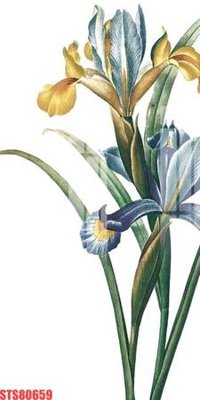 File gốc in mica Tranh sơn dầu phương tây tổng hợp STS80659 chất lượng